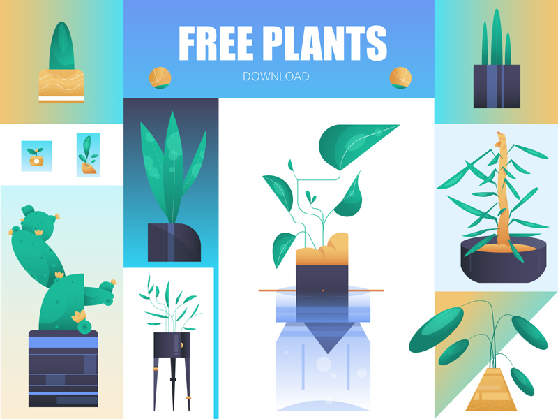 Illustrations des plantes de maison