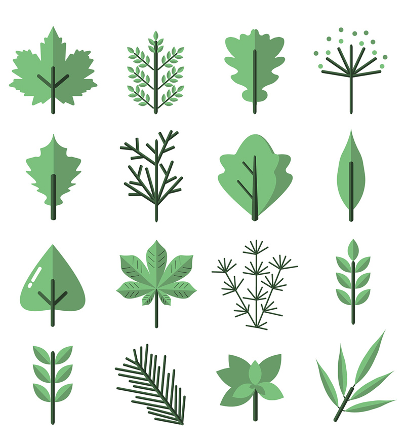 Modèle de feuilles et 16 icônes