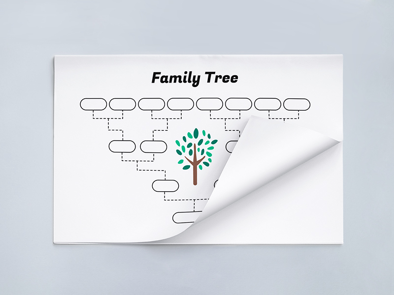 単純な家系図テンプレートベクトル
